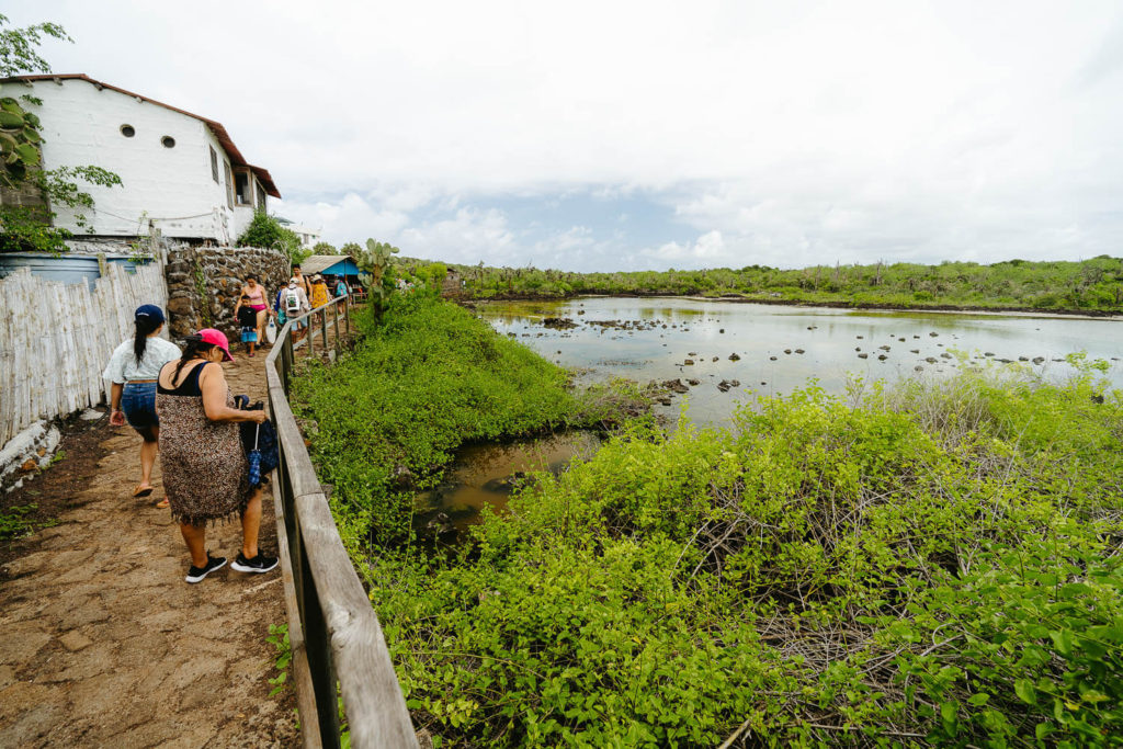 Bay Tour In Santa Cruz Galapagos Half Day Tour