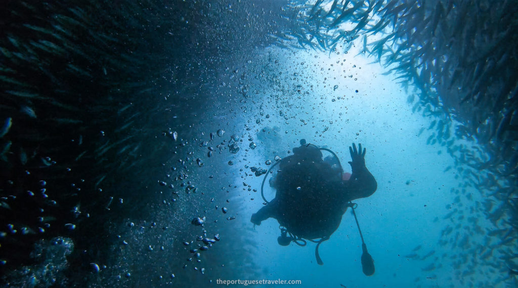 Diving In Kicker Rock Leon Dormido San Cristobal Dive Sites