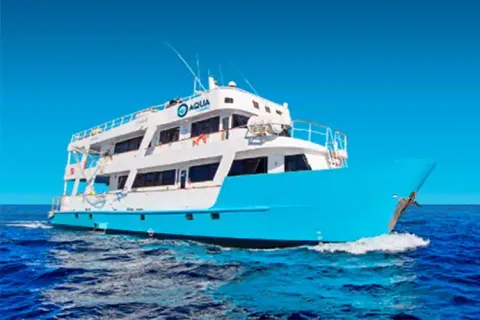 Aqua Dive Yacht from Oniric