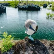 Things to Know Before Visiting the Galapagos Islands (2026)