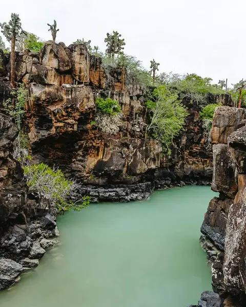 15 Free Things To Do in Santa Cruz, Galapagos: Without a Guide
