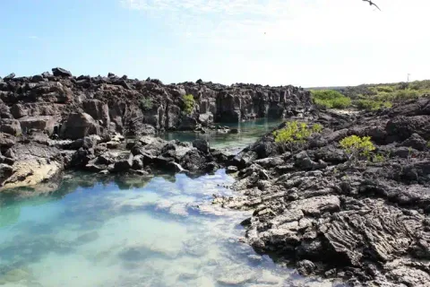 Genovesa Island