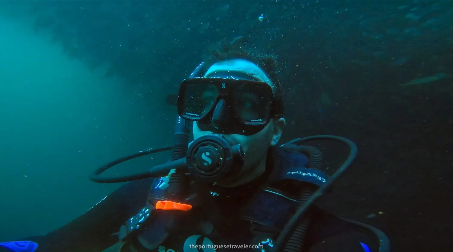 The first dive surrounded by a wall of fish