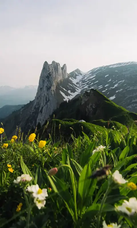 Saxer Lücke and Fälensee Hike From Brülisau: Ultimate Guide