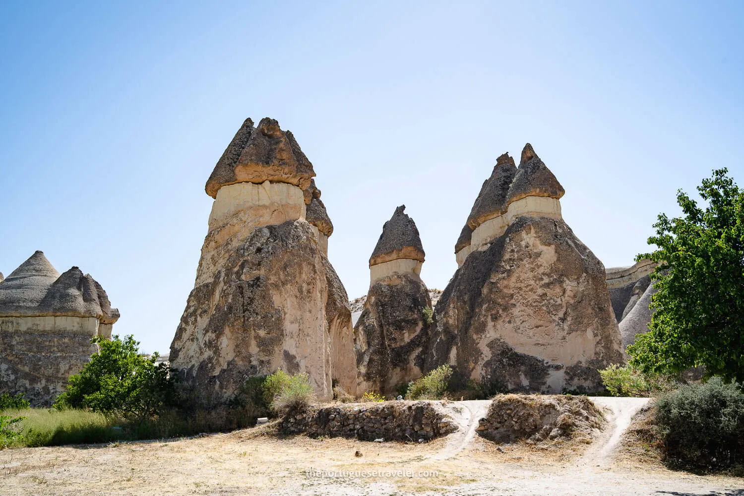 The fairy chimneys on the Pasabag Monks Valley, on the Cappadocia Red Tour