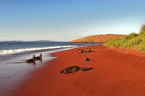 Rabida Island