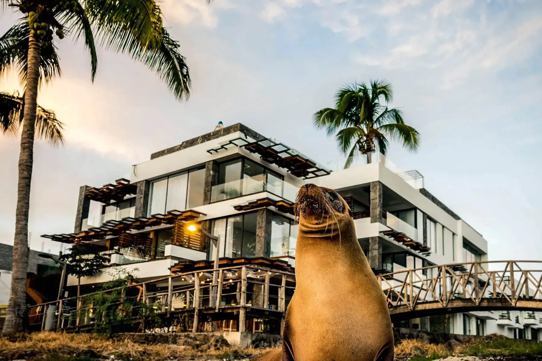 Best Hotels in San Cristobal