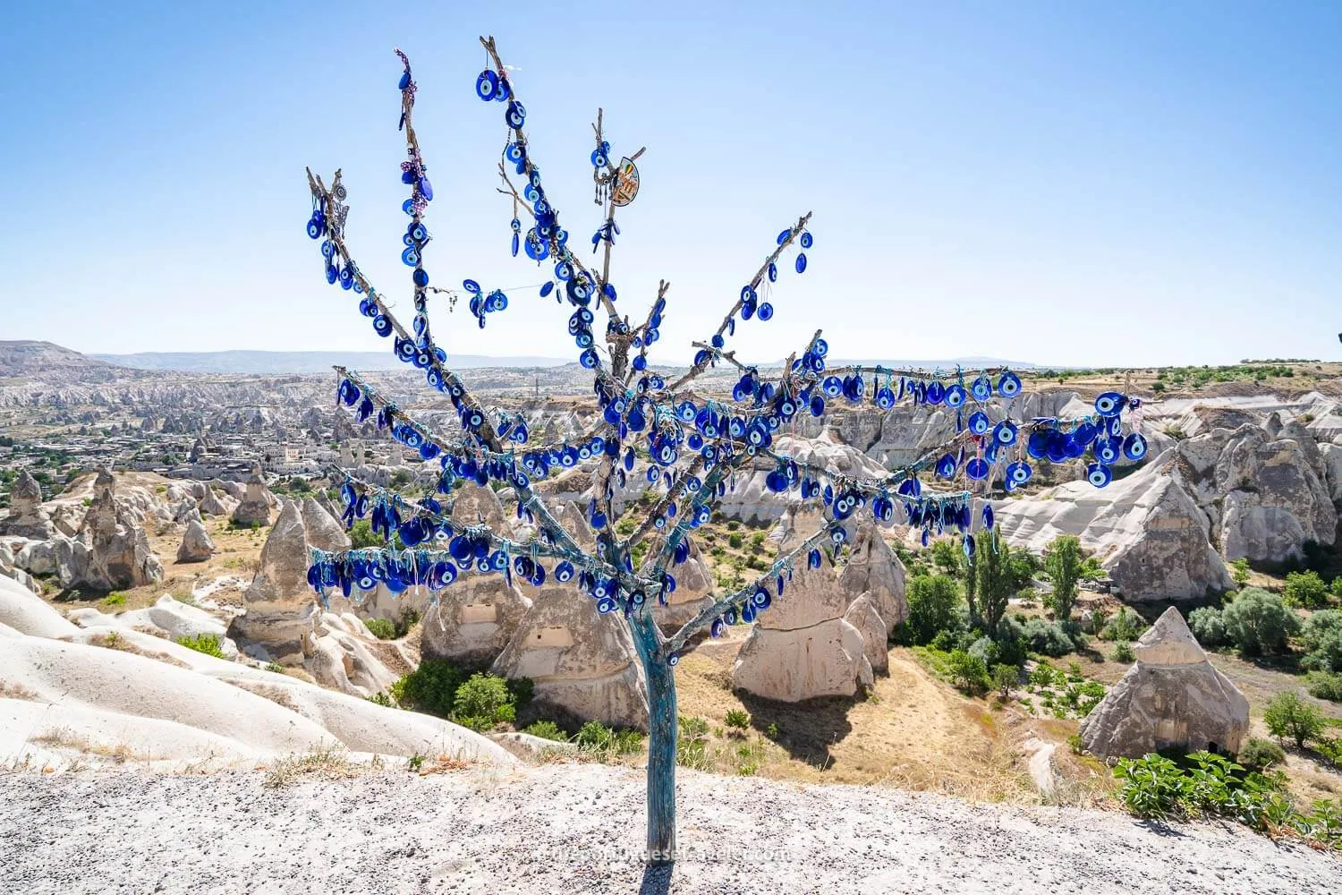 The evil-eyed tree at the Göreme Panorama Viewpoint