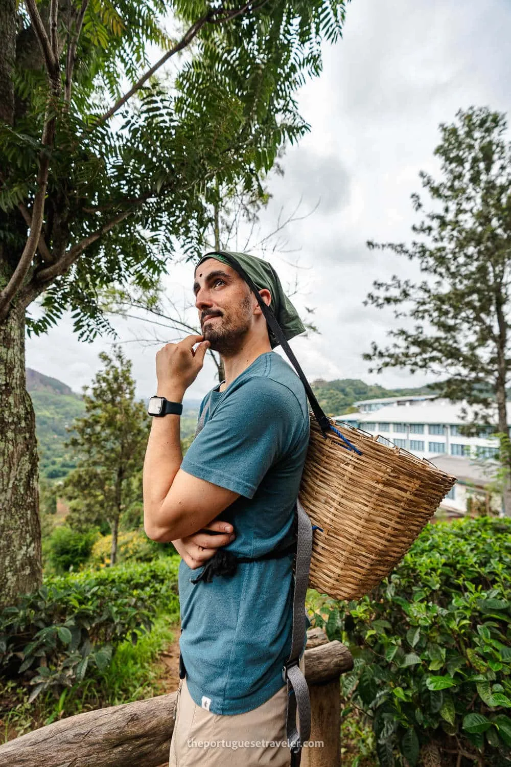 A man in a green headscarf carrying a tea-picking basket at the Halpewatte plantation