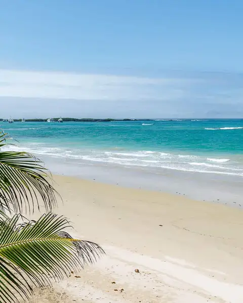 3 Best Beaches in Isabela, Galapagos: Where to Go?