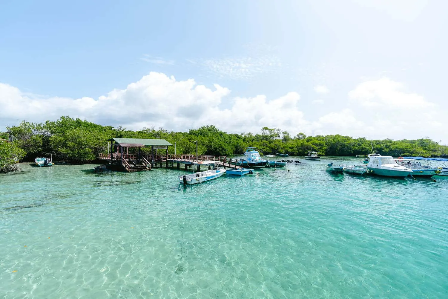 Puerto Villamil passenger pier