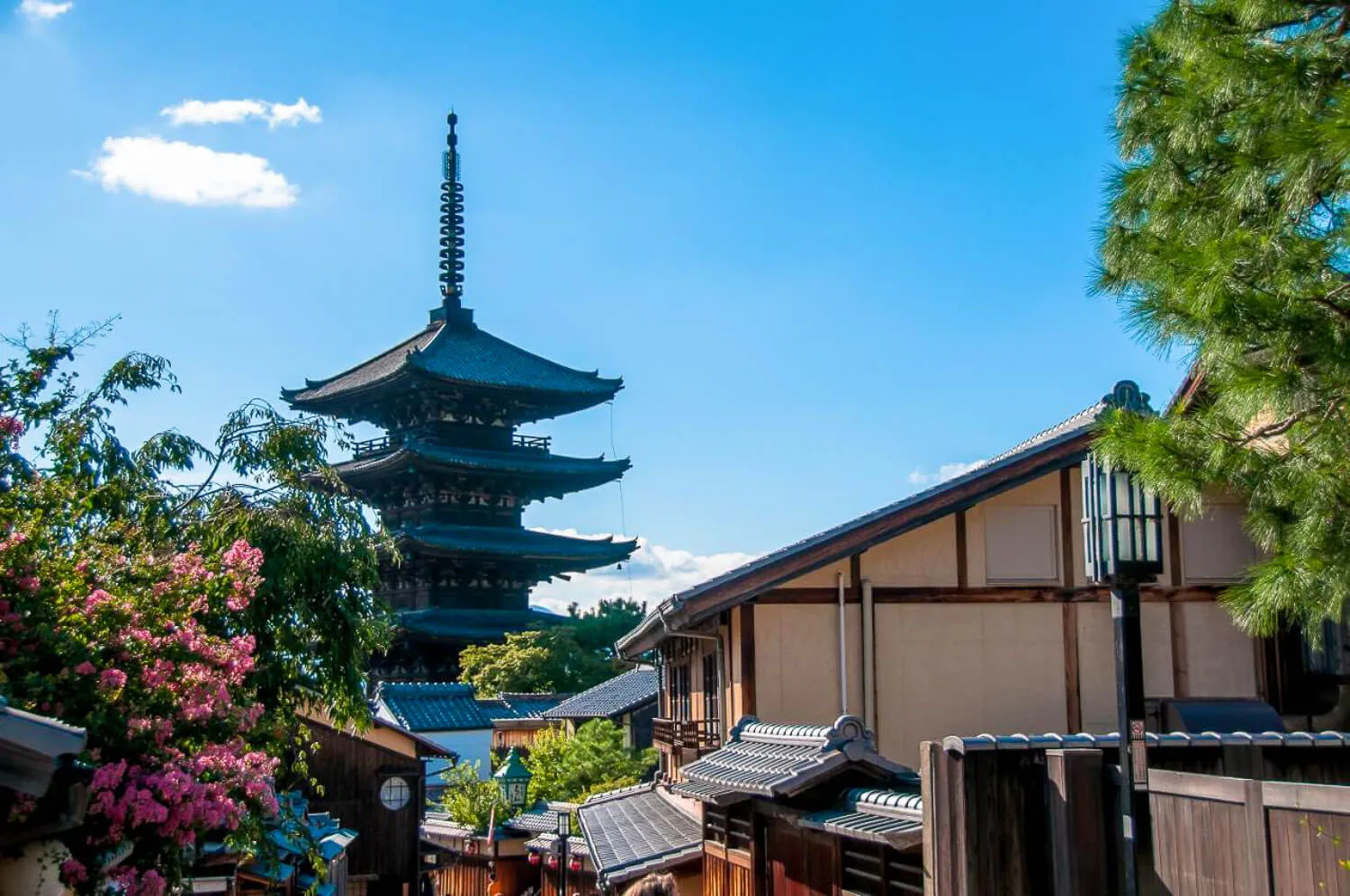 20 Best Hotels in Kyoto, Japan