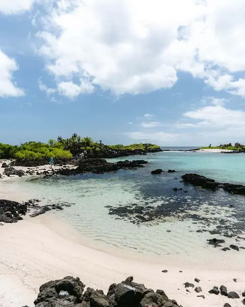 20 Best Beaches in Galapagos: All the Islands (2026 Guide)