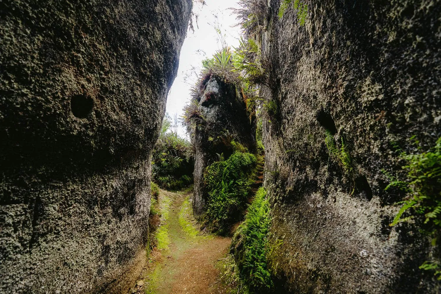 Isla Floreana Labyrinths