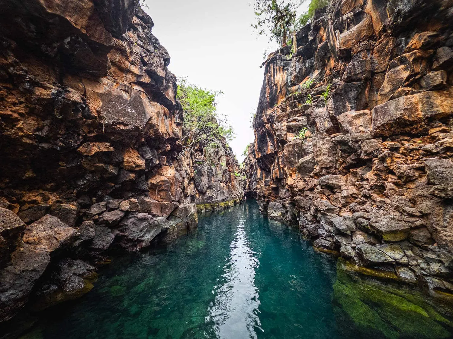 The second section of Las Grietas in Santa Cruz, Galapagos