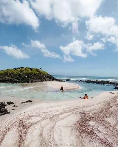 80 Best Things To Do in The Galapagos: Ultimate Guide (2026)