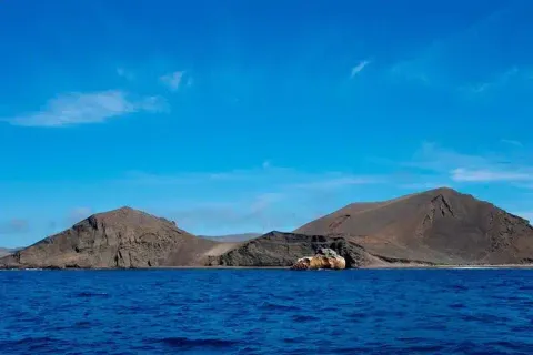 Marchena Island