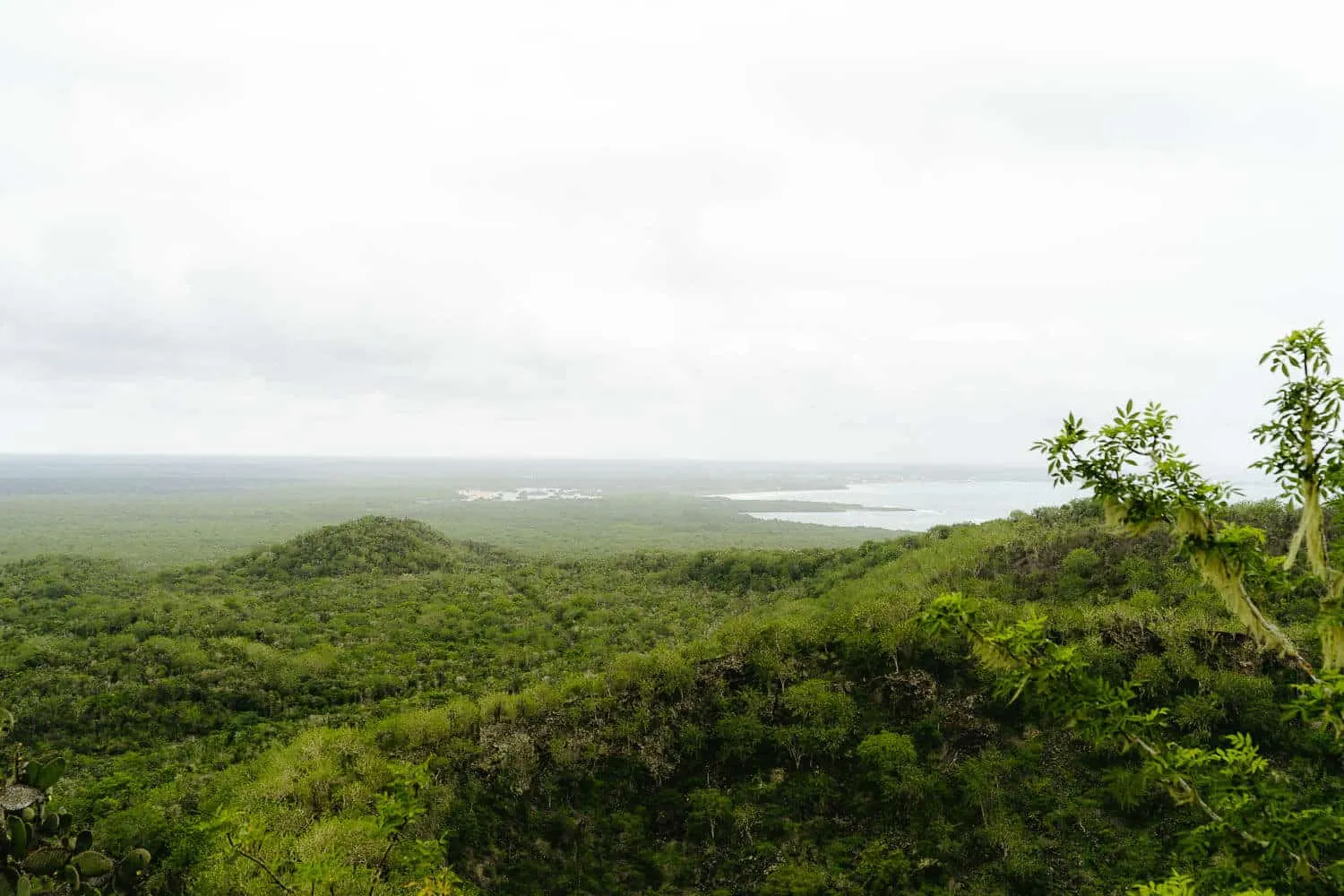 Isabela