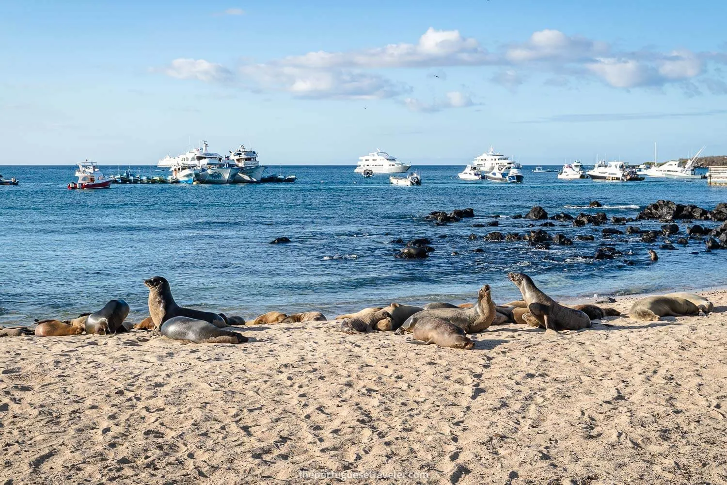 Puerto Baquerizo Moreno's Playa de los Lobos