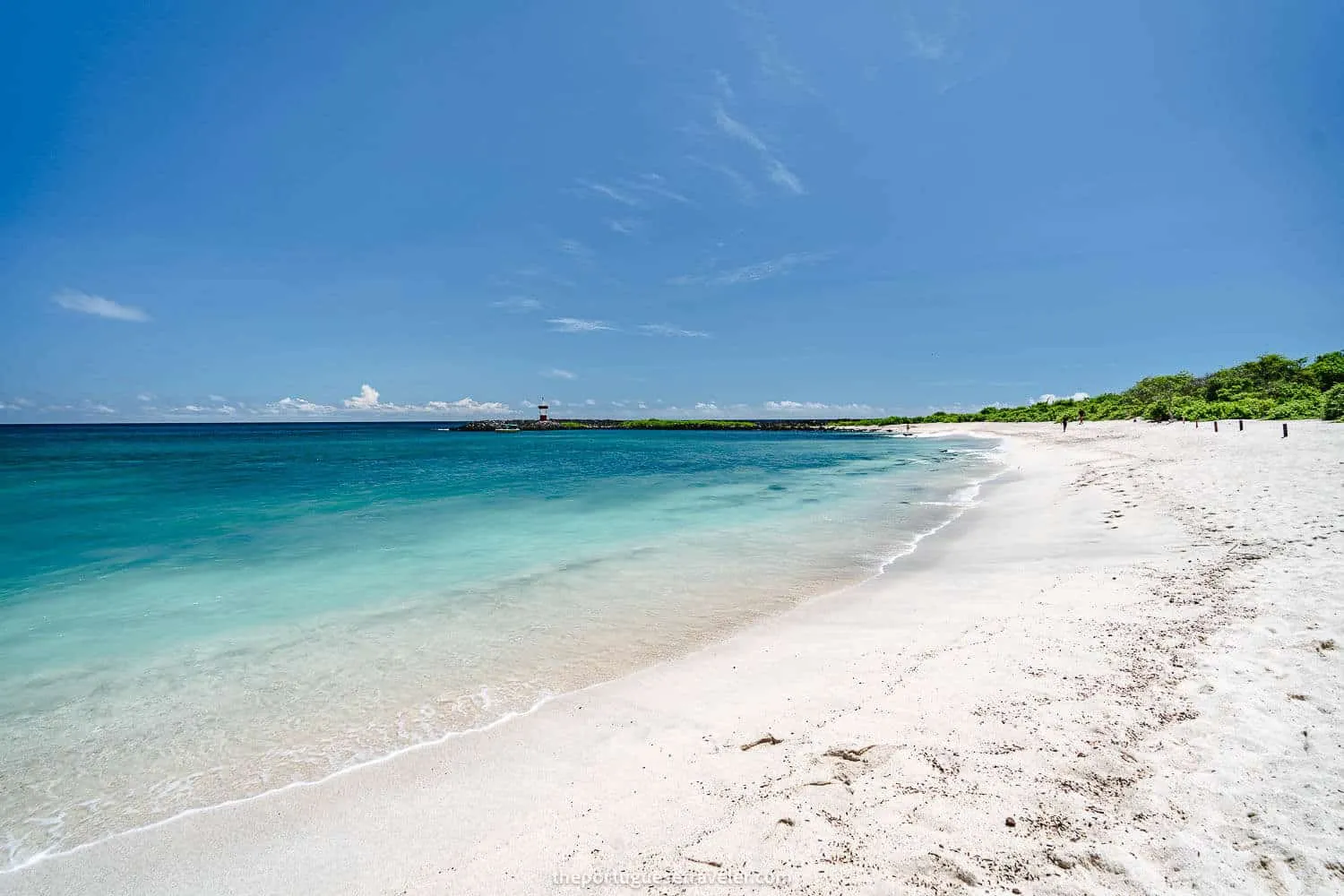 Punta Carola Beach in San Cristobal, Galapagos