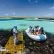 Best Time to Visit the Galapagos Islands (Month-by-Month)