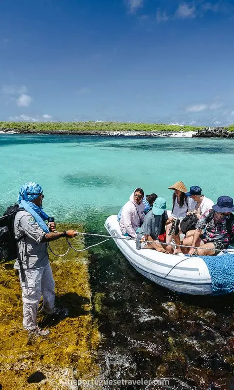 Best Time to Visit the Galapagos Islands (Month-by-Month)