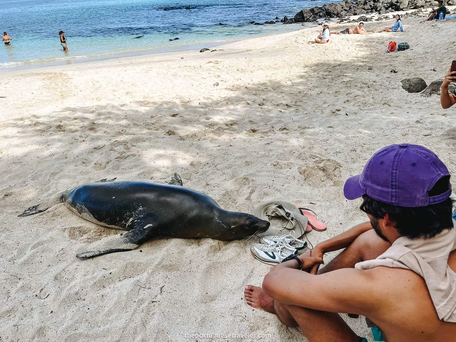 The pup smelling some shoes - Responsible Tourism in Galapagos