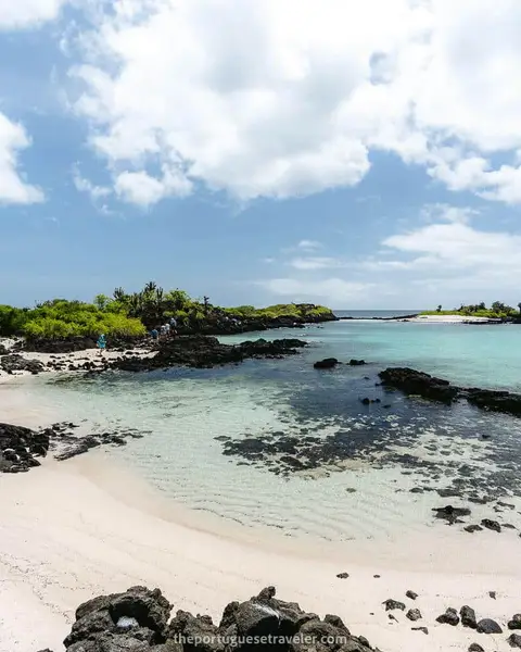 39 Best Snorkeling Spots in The Galapagos: Snorkel Guide (2026)