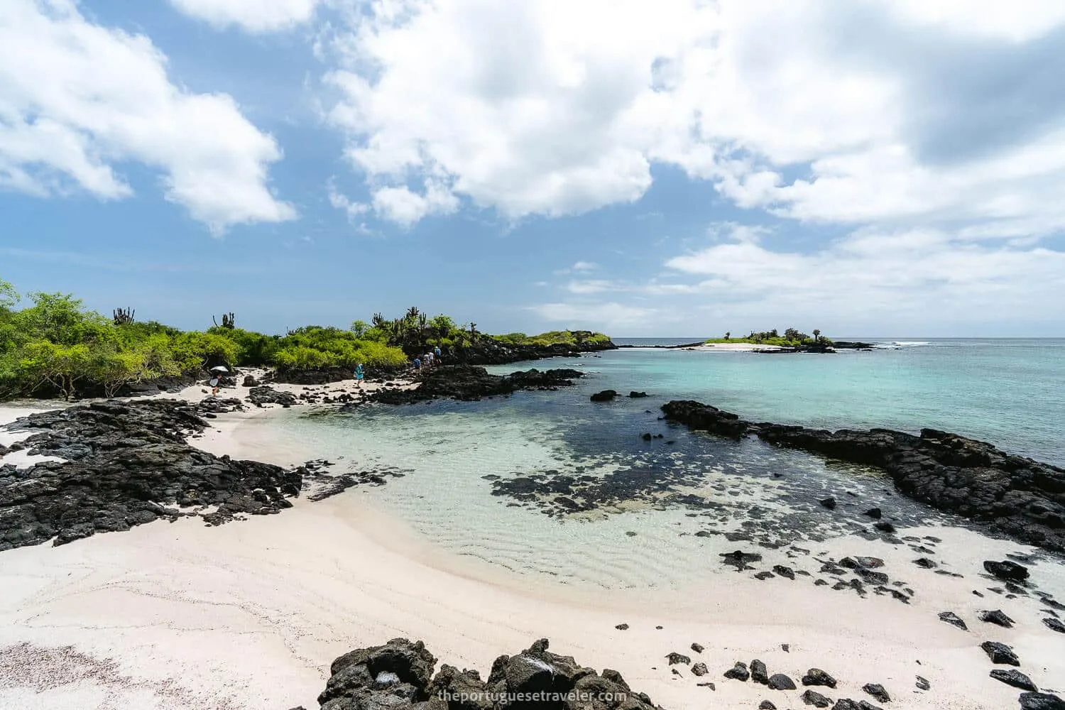 39 Best Snorkeling Spots in The Galapagos