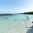 Galapagos with Kids: How to Plan It, and Why You're Gonna Love It