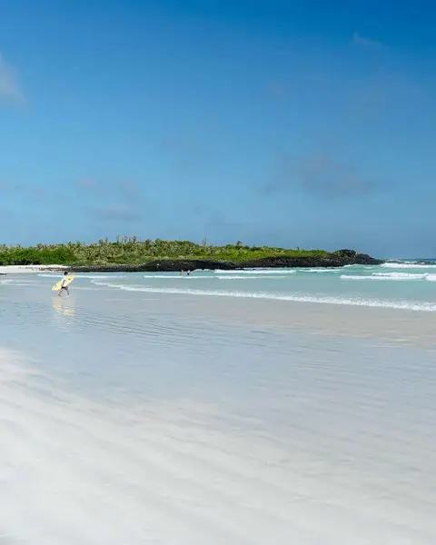 Tortuga Bay Beach in Santa Cruz, Galapagos: Full Breakdown