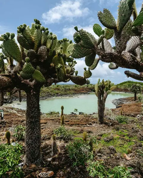 7 Awesome Tours in San Cristobal, Galapagos (Land-Based)