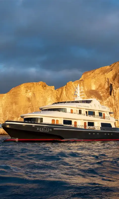 Best Galapagos Cruise - Budget to Luxurious: Detailed Guide