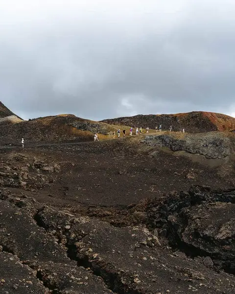 5 Amazing Tours in Isabela, Galapagos: All The Best Tours (2026)