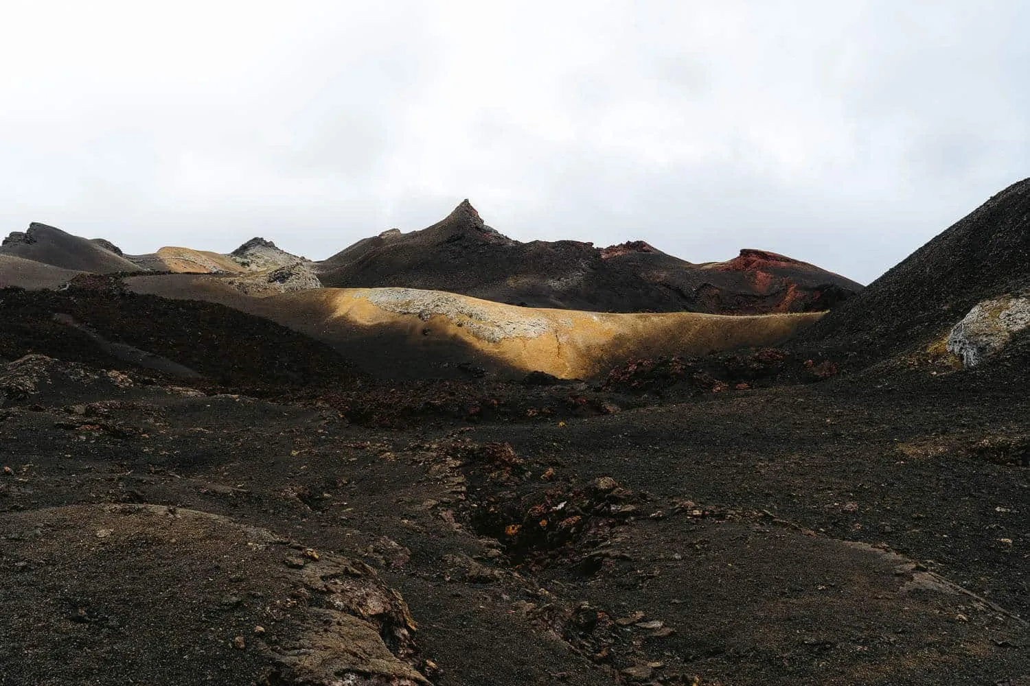 Sierra Negra Volcano Tour in Isabela