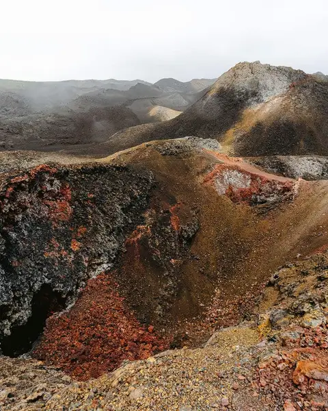 23 Best Galapagos Islands Tours: Land-Based (2026 Guide)