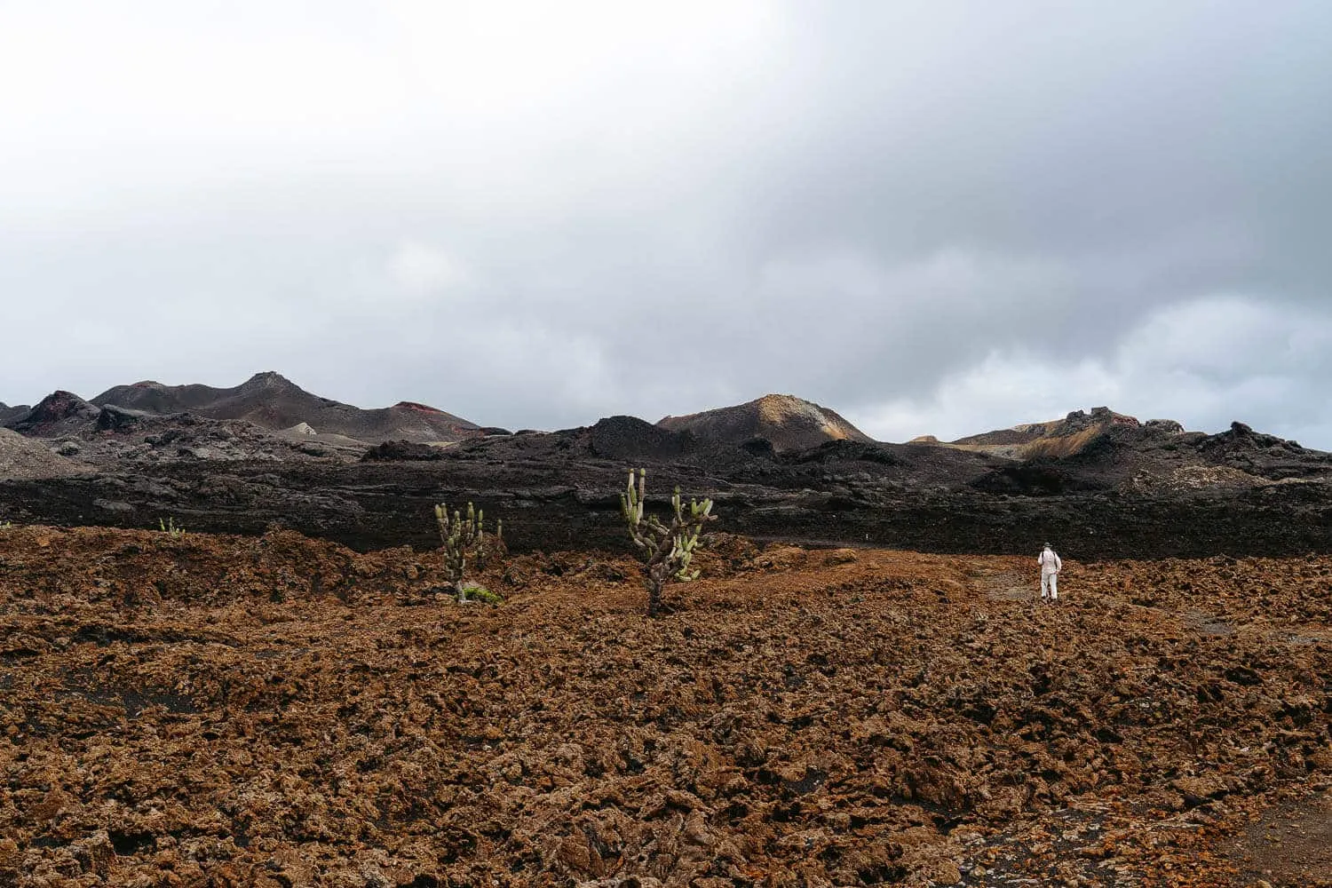 6 Best Hikes in The Galapagos Islands