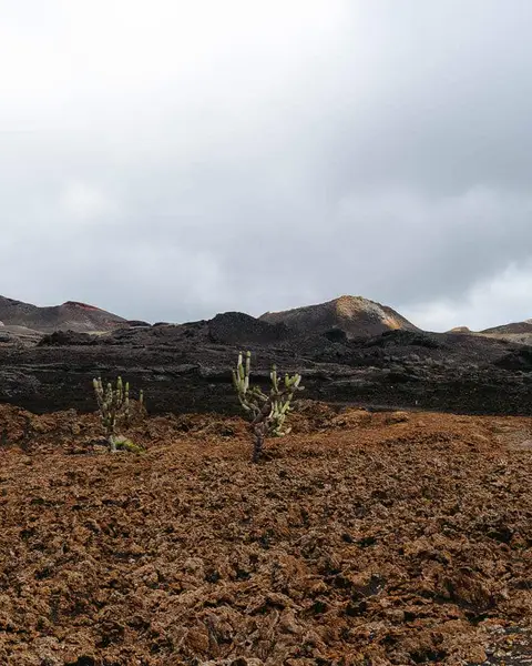 6 Best Hikes in The Galapagos Islands (2026 Hiking Guide)