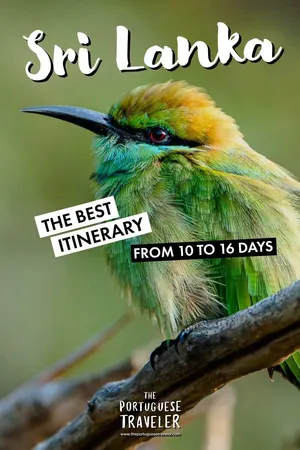The Best Sri Lanka Itinerary: From 10 to 16 Days, Pinterest pin