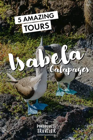 5 Amazing Tours in Isabela, Galapagos, Pinterest pin