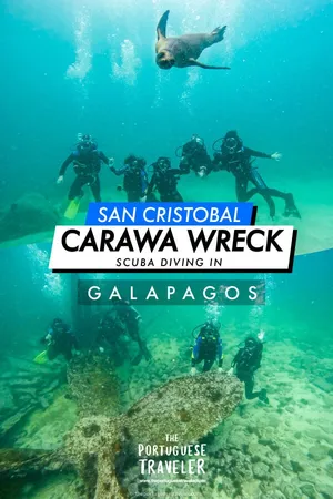 Diving in Carawa Wreck & Tijeretas Bay, Pinterest pin