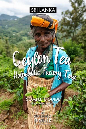 Ceylon Tea: Halpewatte Tea Factory Tour and History, Pinterest pin
