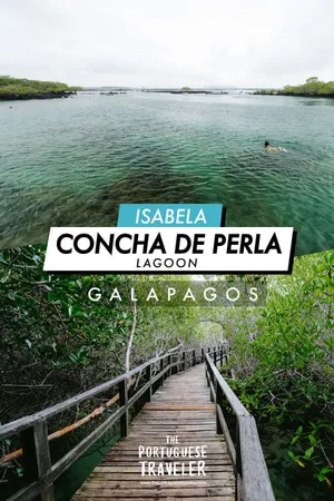 Concha de Perla Lagoon in Isabela, Pinterest pin