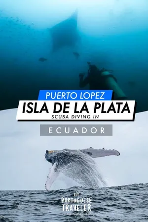 Diving in Isla de La Plata, Pinterest pin
