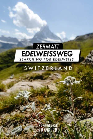 Edelweissweg Trail in Zermatt, Pinterest pin