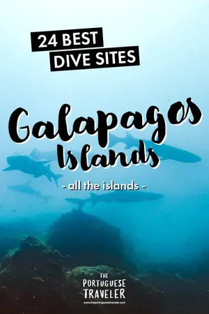 24 Best Dive Sites in The Galapagos, Pinterest pin
