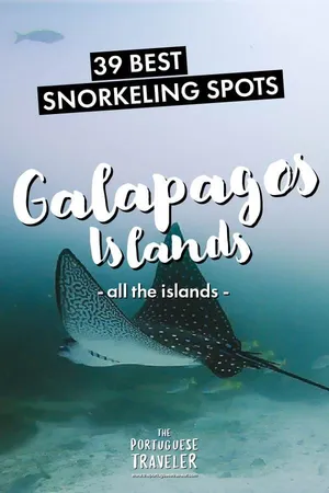 39 Best Snorkeling Spots in The Galapagos, Pinterest pin