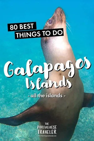 80 Best Things To Do in The Galapagos, Pinterest pin
