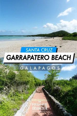 Garrapatero Beach in Santa Cruz, Pinterest pin