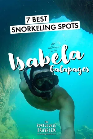 7 Best Snorkeling Spots in Isabela, Galapagos, Pinterest pin